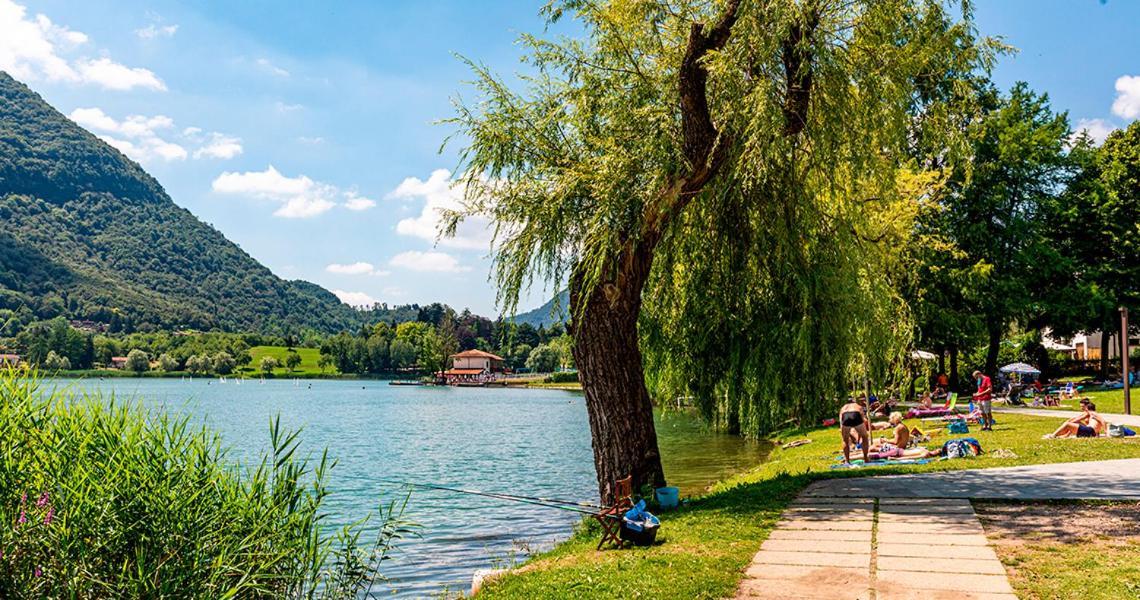 Villetta Lago E Monti Spinone Al Lago Eksteriør billede